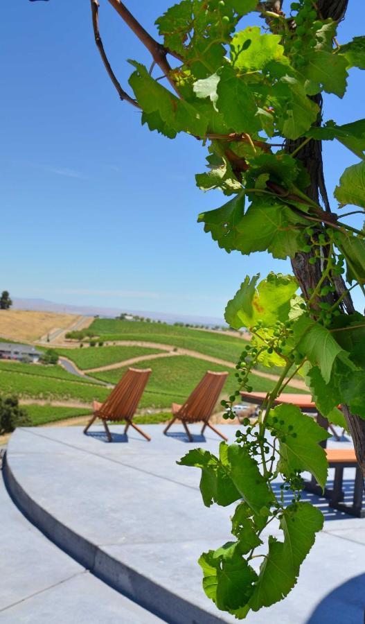 Sirena Vineyard Resort Пасо Роблес Екстериор снимка