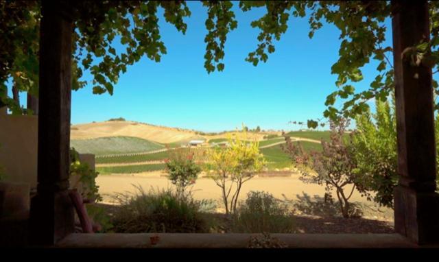 Sirena Vineyard Resort Пасо Роблес Екстериор снимка