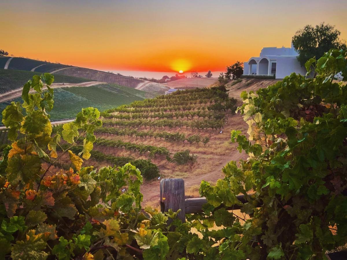 Sirena Vineyard Resort Пасо Роблес Екстериор снимка